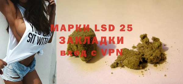 амф Ладушкин