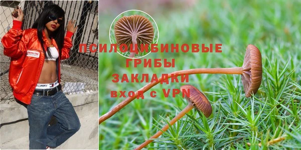 каннабис Кукмор