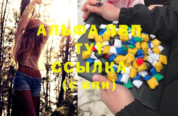 амф Ладушкин