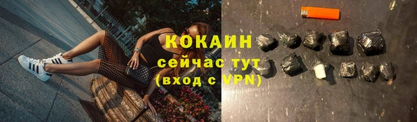 мяу мяу мука Лабытнанги
